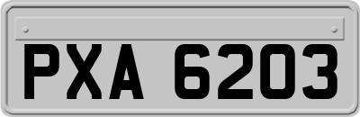 PXA6203