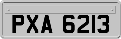 PXA6213