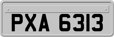 PXA6313