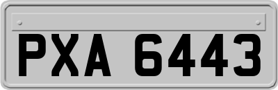 PXA6443