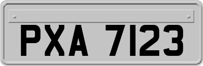 PXA7123