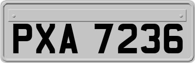 PXA7236