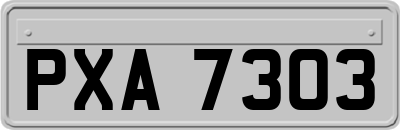 PXA7303