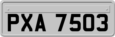 PXA7503