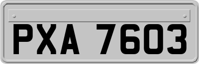 PXA7603