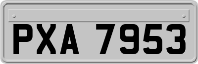 PXA7953