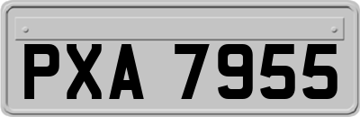 PXA7955