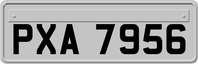 PXA7956