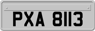 PXA8113