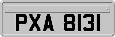 PXA8131