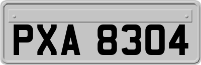 PXA8304