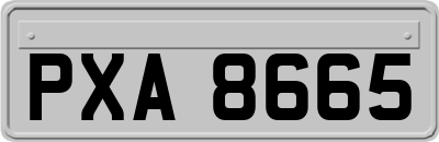 PXA8665