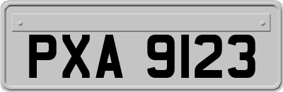 PXA9123