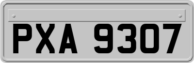 PXA9307