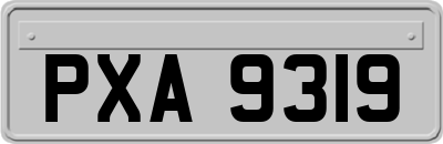 PXA9319