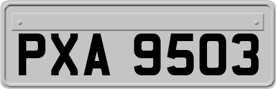 PXA9503