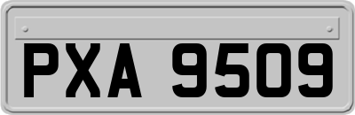 PXA9509