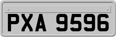 PXA9596