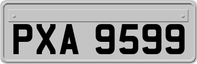 PXA9599