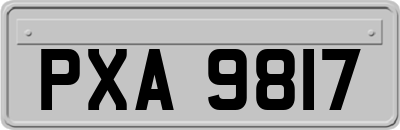 PXA9817