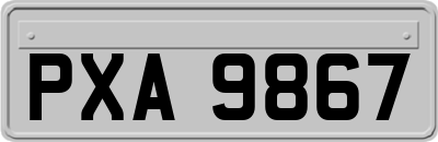 PXA9867