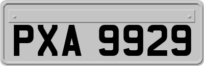 PXA9929