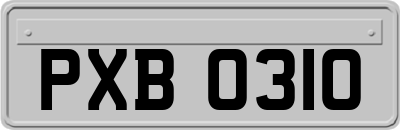 PXB0310