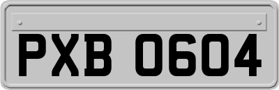 PXB0604