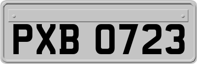 PXB0723