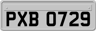 PXB0729