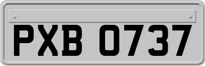 PXB0737