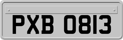 PXB0813