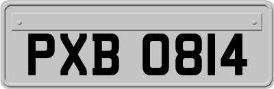 PXB0814