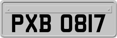 PXB0817