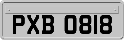 PXB0818