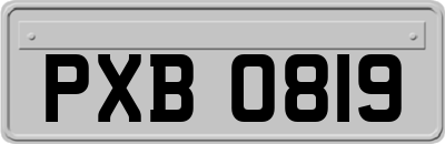 PXB0819