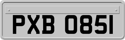 PXB0851