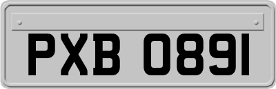 PXB0891