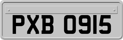 PXB0915