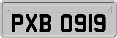 PXB0919