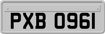 PXB0961