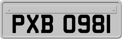 PXB0981