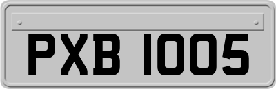 PXB1005