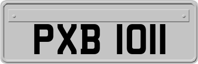 PXB1011