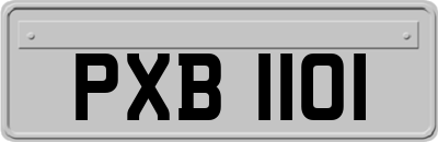 PXB1101