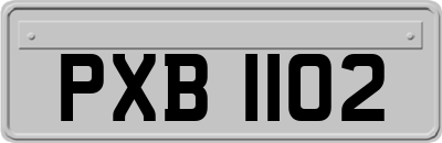 PXB1102