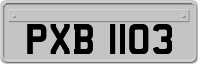 PXB1103