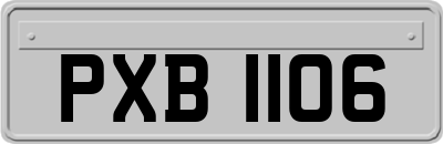 PXB1106