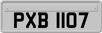 PXB1107