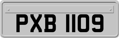 PXB1109